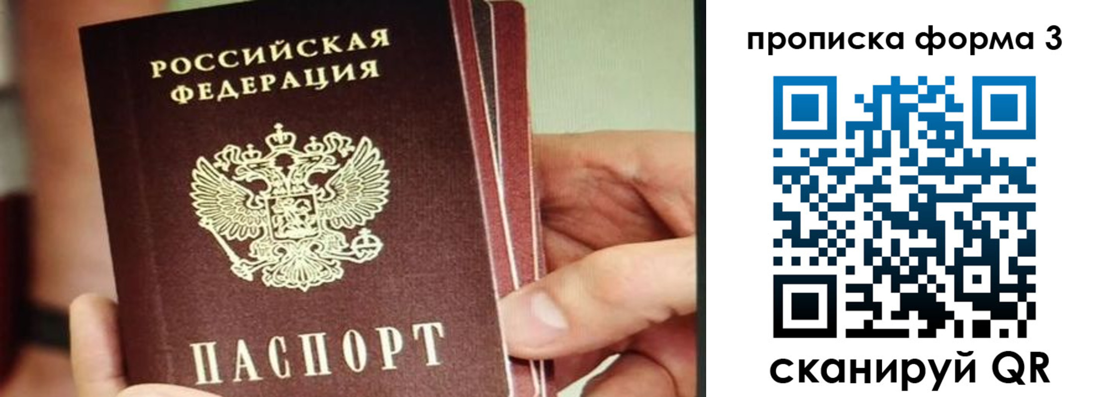 прописка законно в Красноармейске